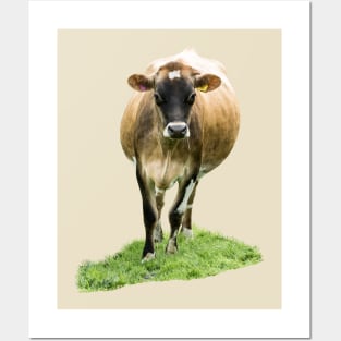 Jersey Cow Posters and Art